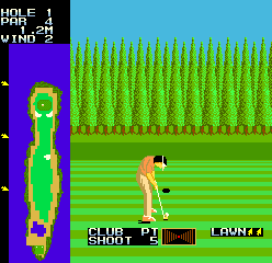 Competition Golf Final Round (revision 3) Screenthot 2